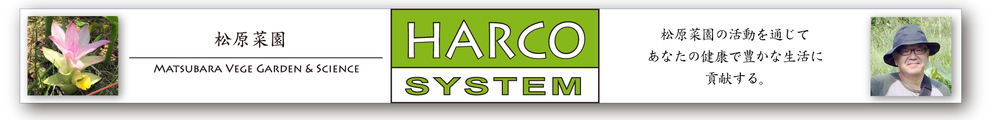 あなたに健康を　ハルコシステム　ゆすはらはるこ