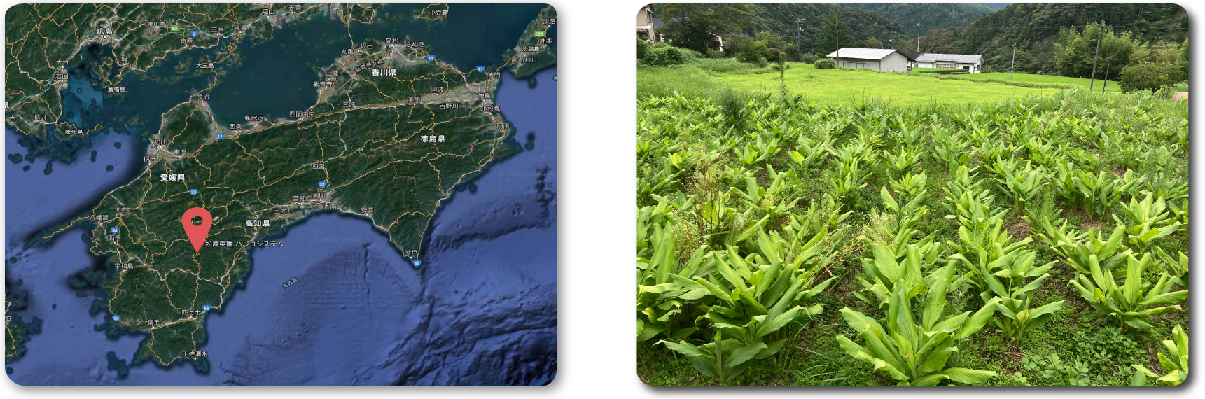 四国地図の中の松原菜園と農地