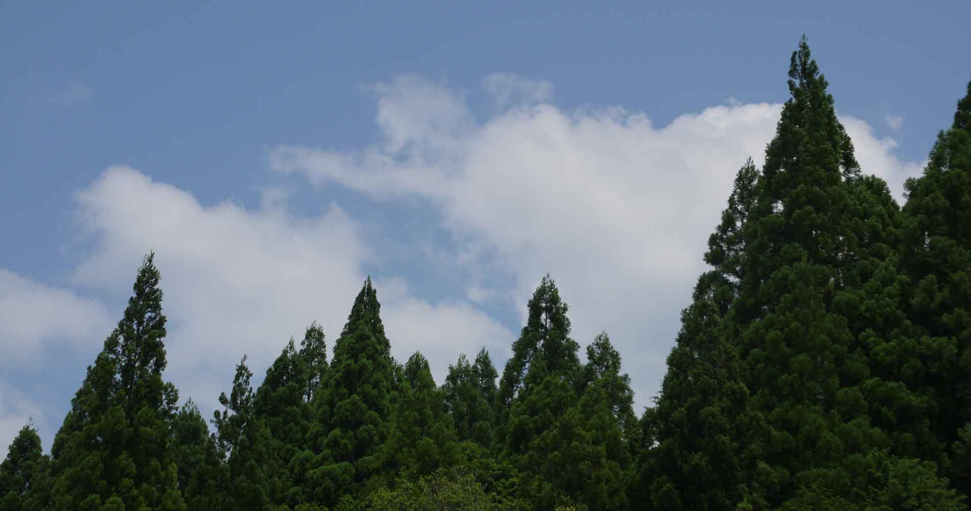 松原菜園の活動を通じて あなたの健康で豊かな生活に貢献する。